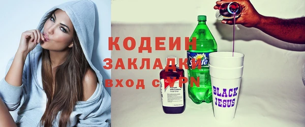 индика Михайловка
