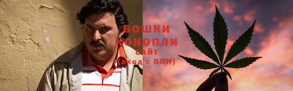 индика Михайловка