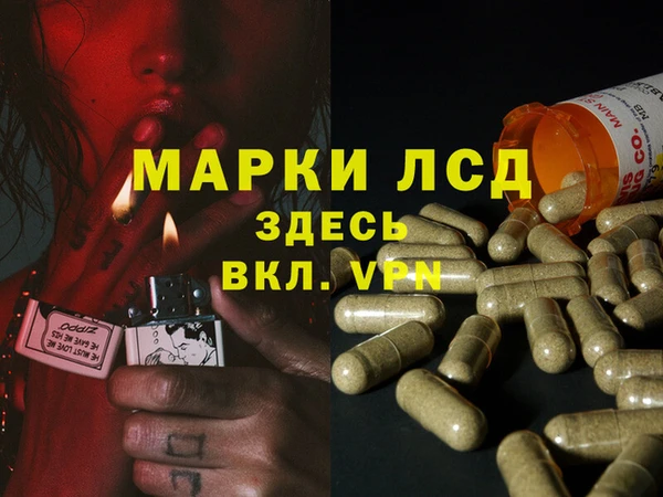 стаф Михайлов