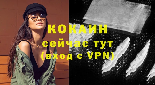 индика Михайловка