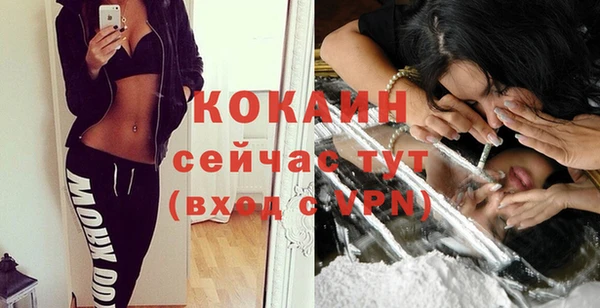 стаф Михайлов