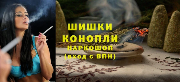 индика Михайловка