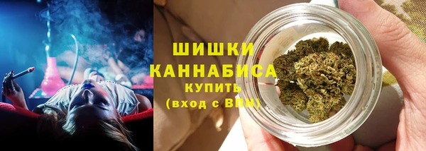стаф Михайлов