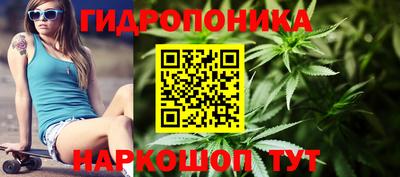mdma Камышлов