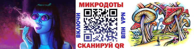 Галлюциногенные грибы Magic Shrooms  сколько стоит  Новодвинск 