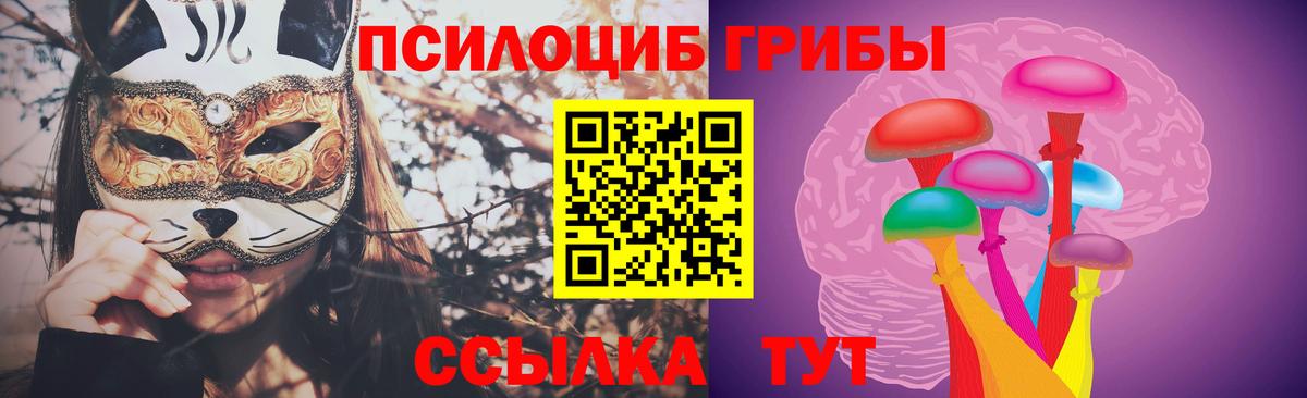 Галлюциногенные грибы Psilocybe  Новодвинск 
