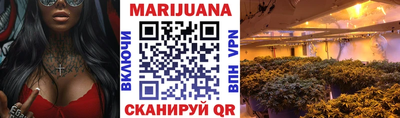 где найти наркотики  Новодвинск  hydra ТОР  МАРИХУАНА семена 